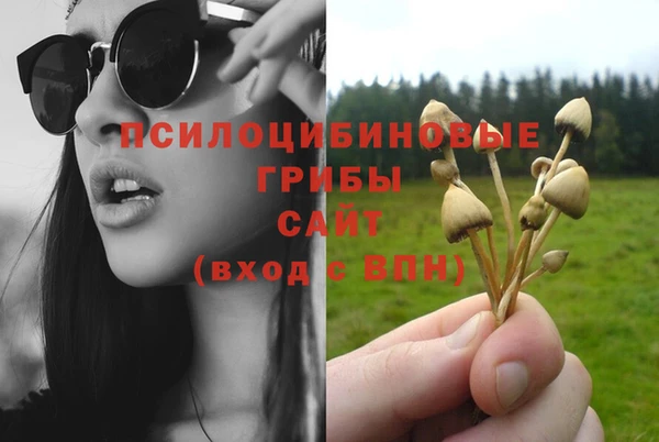 амф Алзамай